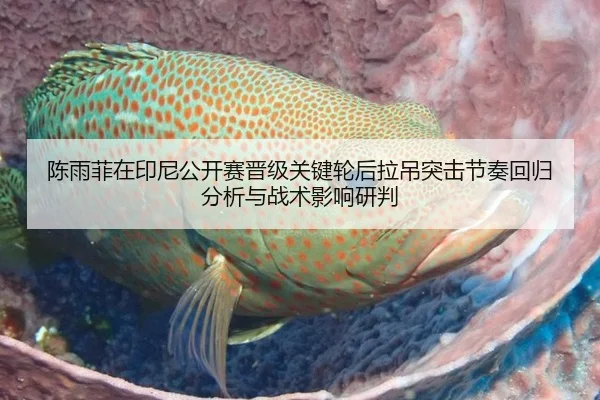 陈雨菲在印尼公开赛晋级关键轮后拉吊突击节奏回归分析与战术影响研判