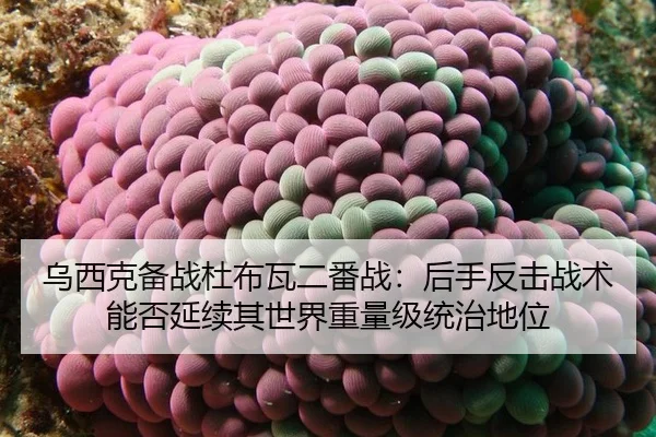 wu-xi-ke-bei-zhan-du-bu-wa-er-fan-zhan-hou-shou-fan-ji-zhan-shu-neng-fou-yan-xu-qi-shi-jie-zhong-liang-ji-tong-zhi-di-2-557.jpg