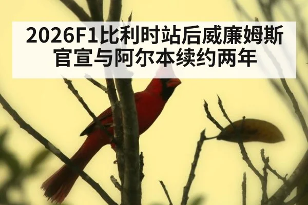 2026F1比利时站后威廉姆斯官宣与阿尔本续约两年