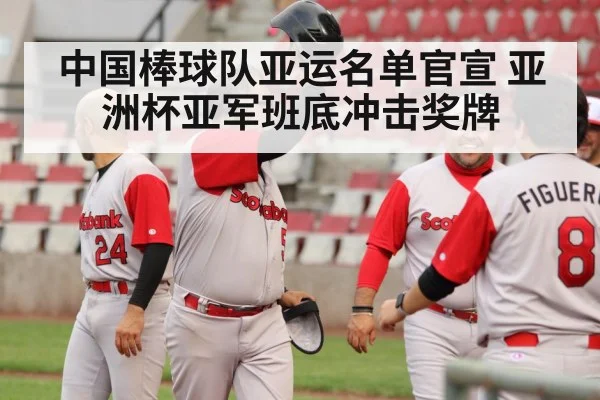 中国棒球队亚运名单官宣 亚洲杯亚军班底冲击奖牌