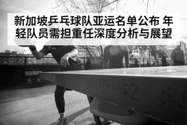 新加坡乒乓球队亚运名单公布 年轻队员需担重任深度分析与展望